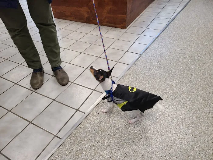 Southern Hills Veterinary Hospital Picture 7