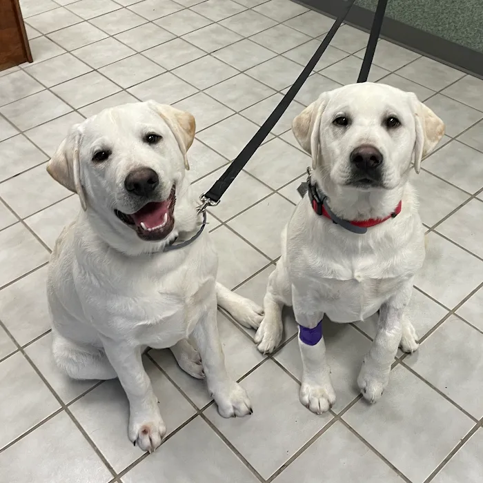 Southern Hills Veterinary Hospital Picture 10