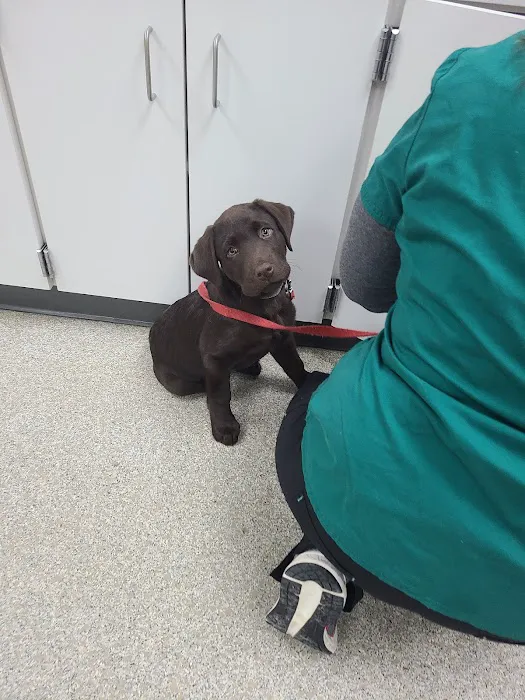 Southern Hills Veterinary Hospital Picture 6