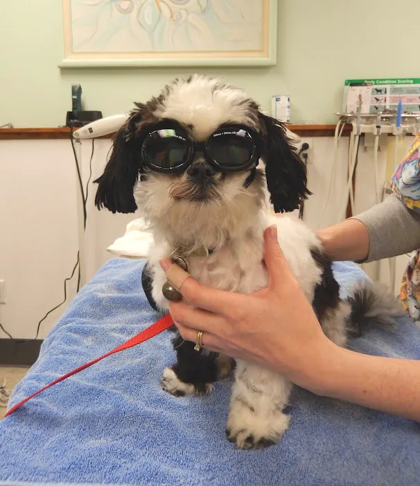 Southern Hills Veterinary Hospital Picture 1