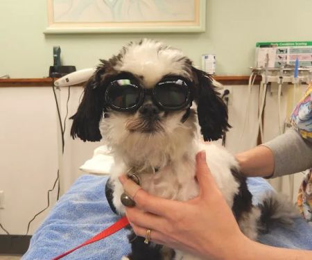 Southern Hills Veterinary Hospital