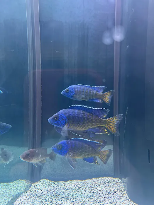 MC Aquatics - Englewood Picture 9