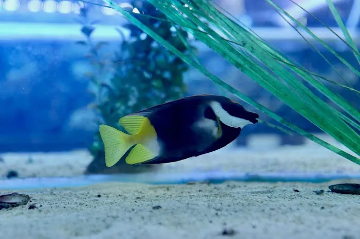 MC Aquatics - Englewood Picture 4