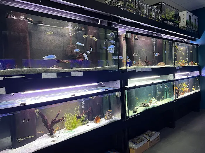 MC Aquatics - Englewood Picture 10