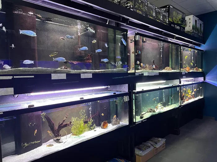 MC Aquatics - Englewood Picture 6