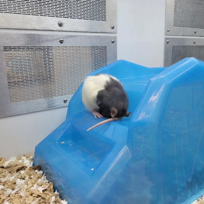 Petco Picture 5