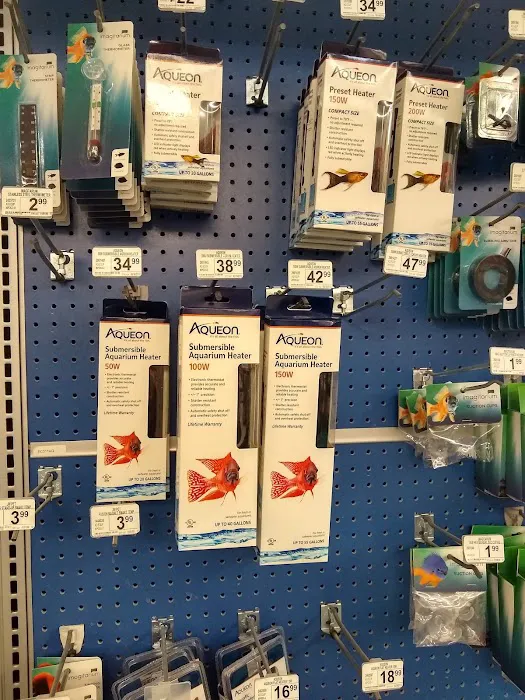 Petco Picture 4