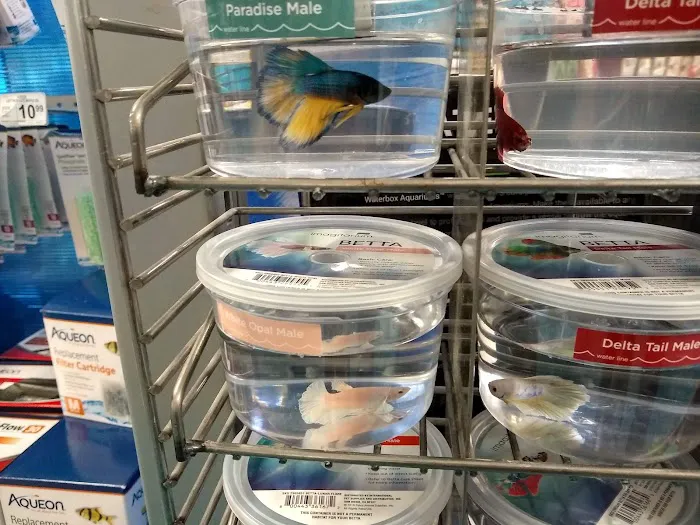 Petco Picture 6