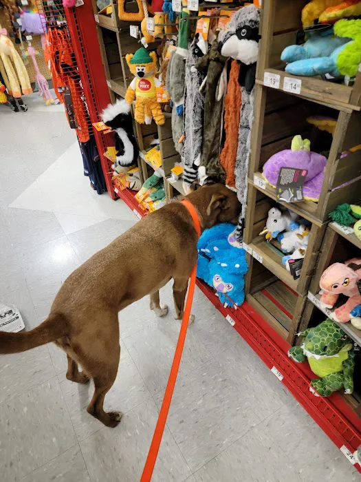 Petco Picture 8