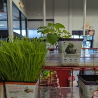 Petco ico