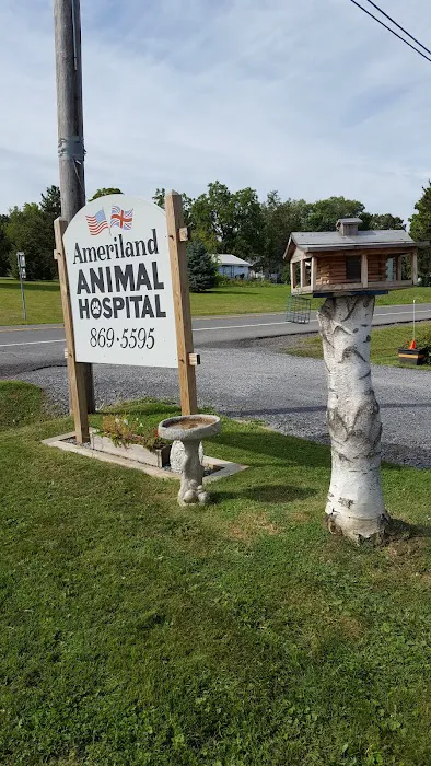 Ameriland Animal Hospital Picture 8