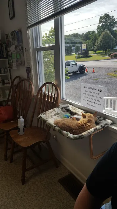 Ameriland Animal Hospital Picture 7