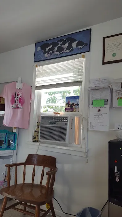 Ameriland Animal Hospital Picture 6