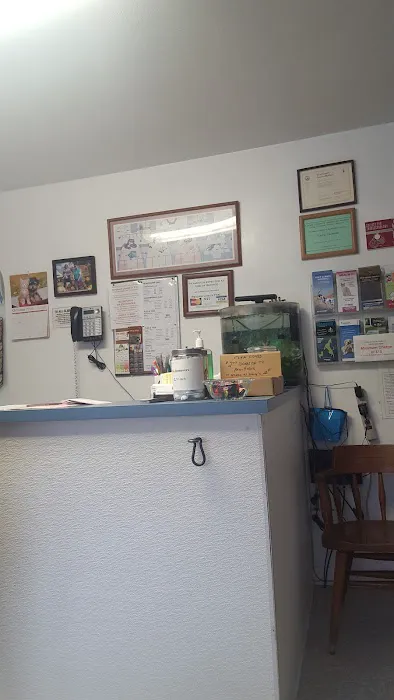 Ameriland Animal Hospital Picture 5