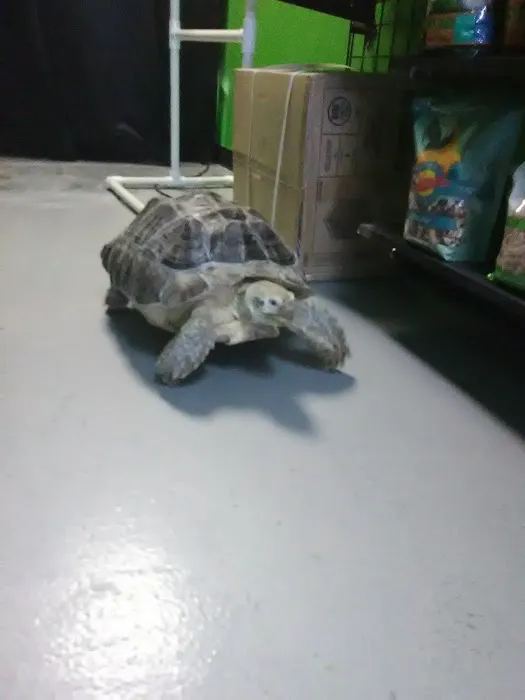 Parker Exotic Pets Picture 10