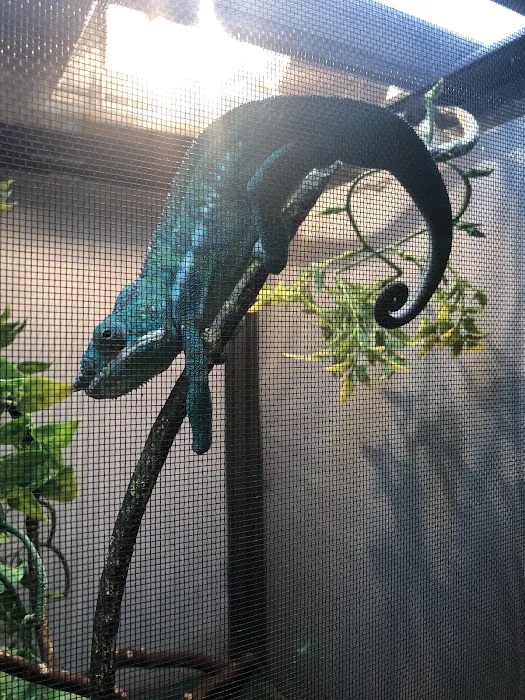 Parker Exotic Pets Picture 5