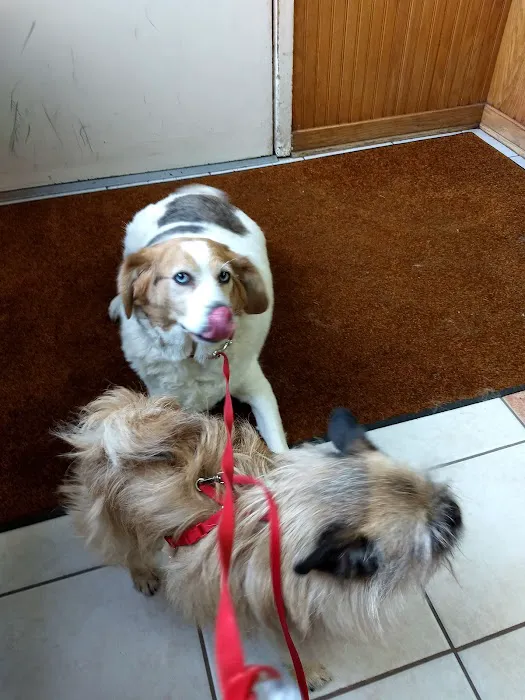 Cayuga Veterinary Services Picture 3