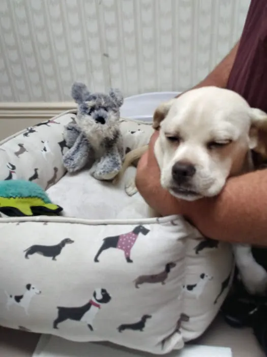 Cayuga Veterinary Services Picture 5