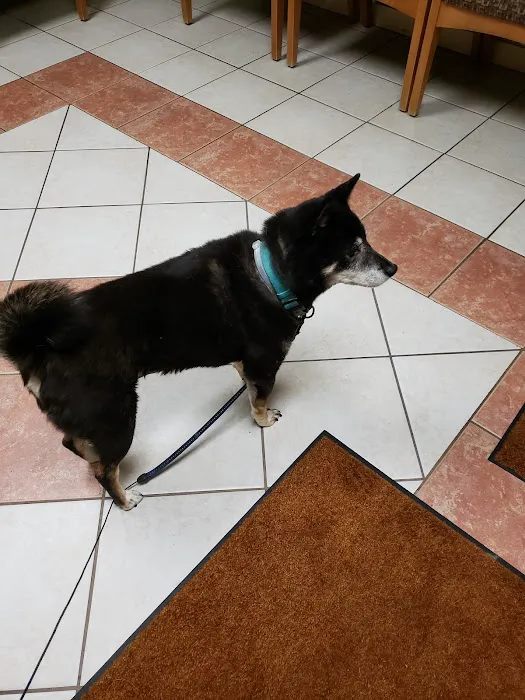 Cayuga Veterinary Services Picture 10