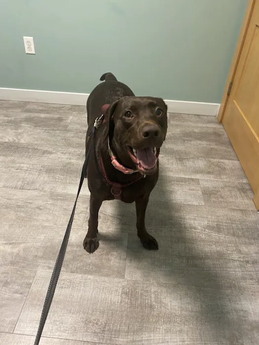 Cayuga Veterinary Services Picture 2