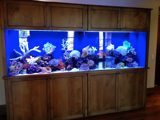 GREAT BARRIER REEF Picture 1