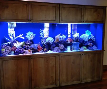 GREAT BARRIER REEF