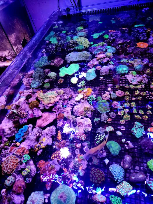 Aqua Culture Picture 2