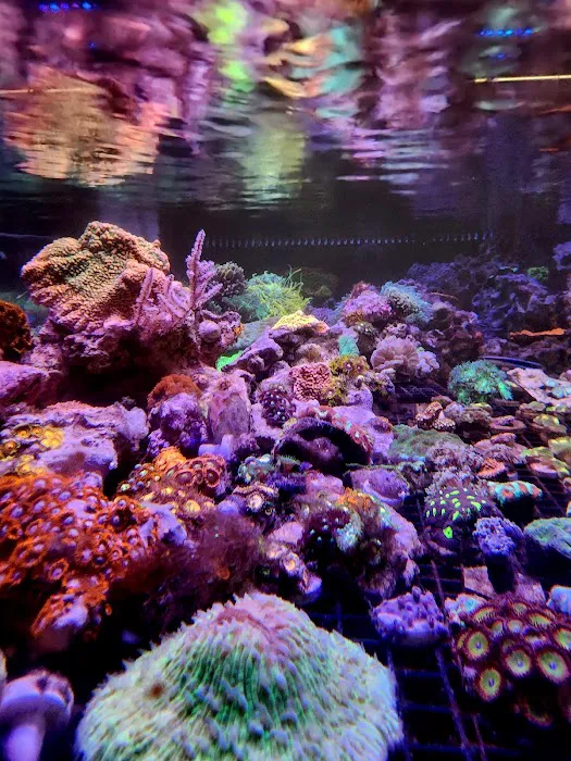 Aqua Culture Picture 1