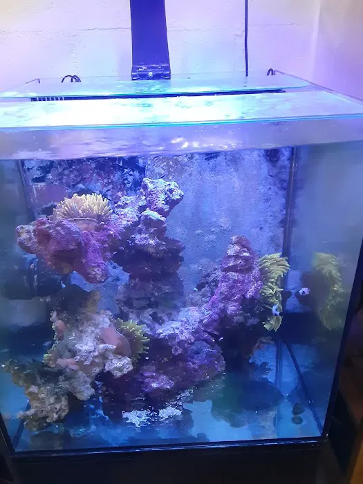 Aqua Culture Picture 10