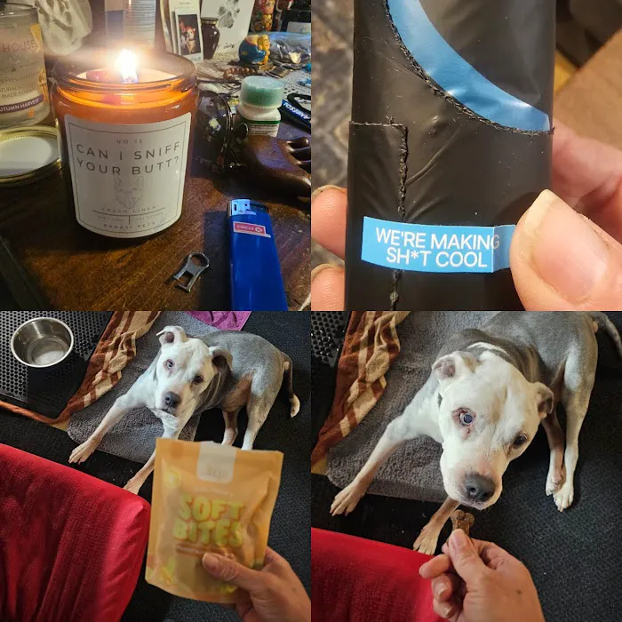 The Raw Pet Company Picture 1