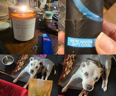 The Raw Pet Company