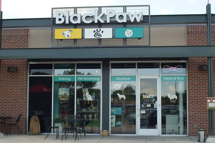 BlackPaw Picture 3