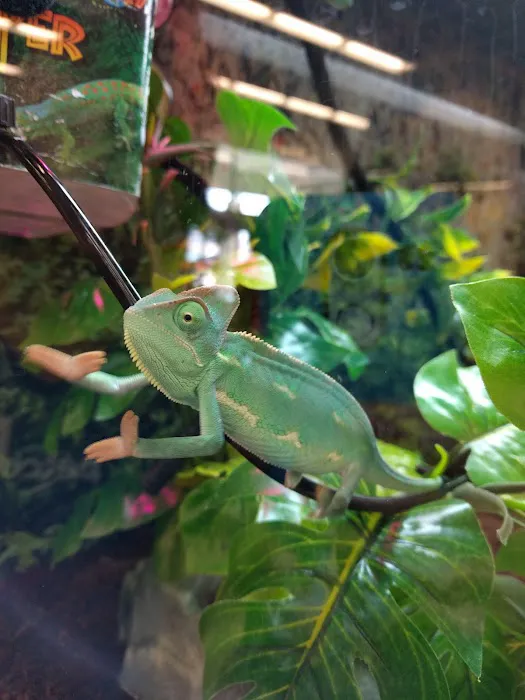 Petco Picture 8