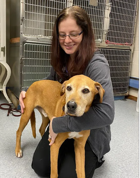 Chestnut Ridge Animal Clinic Picture 2