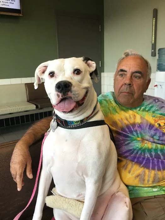 Animal Wellness of Skaneateles Picture 3