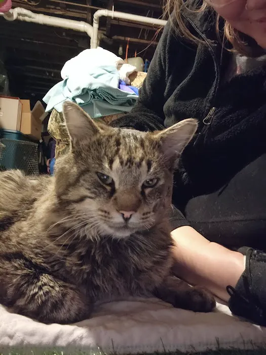 Animal Wellness of Skaneateles Picture 9