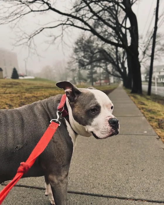 Animal Wellness of Skaneateles Picture 10