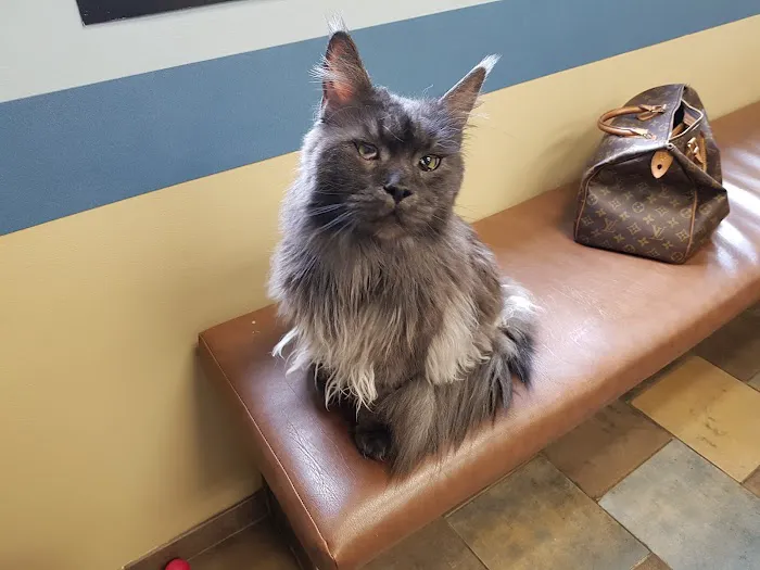 Glove Cities Veterinary Hospital Picture 8