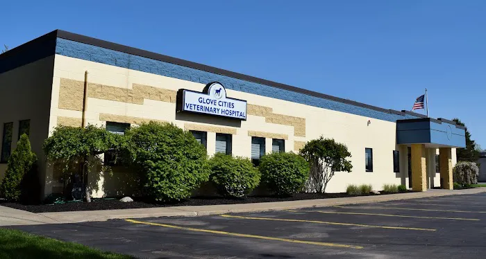 Glove Cities Veterinary Hospital Picture 3