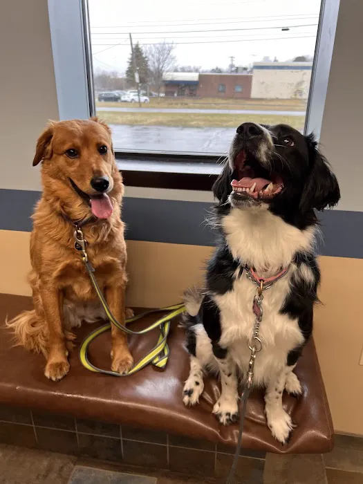 Glove Cities Veterinary Hospital Picture 5
