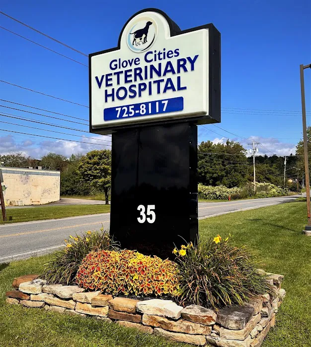 Glove Cities Veterinary Hospital Picture 9