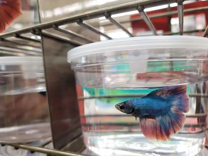 Petco Picture 9