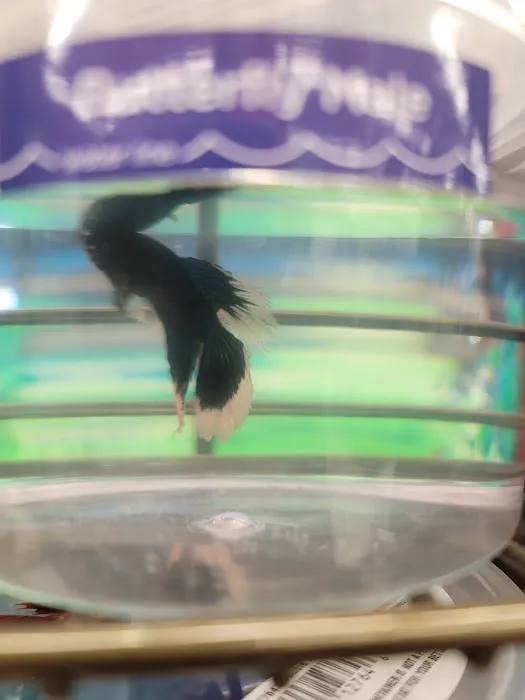 Petco Picture 10