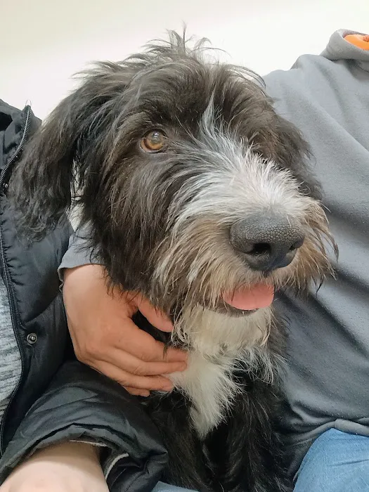 Animal Medical Center Picture 10