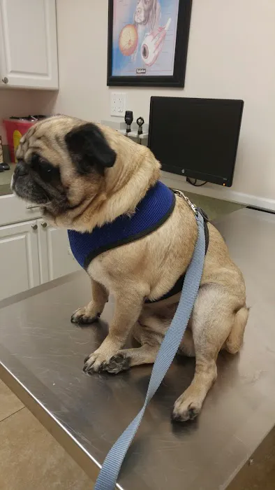 Animal Medical Center Picture 9