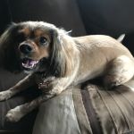 Country Valley Veterinary Clinic