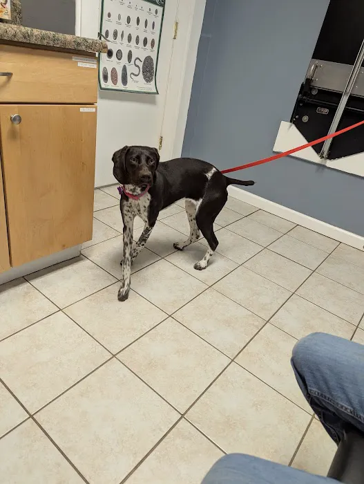 Country Valley Veterinary Clinic Picture 3