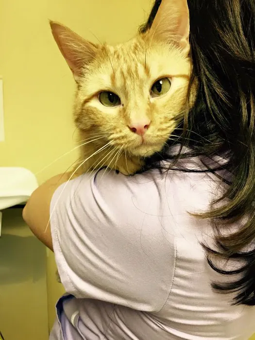 Country Valley Veterinary Clinic Picture 4