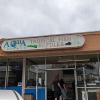 Aqua Imports ico