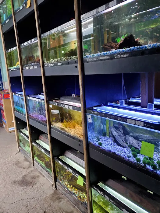 Aqua Imports Picture 10